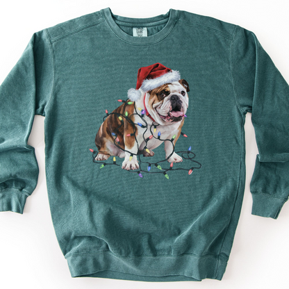 Bulldog Christmas Lights Sweatshirt