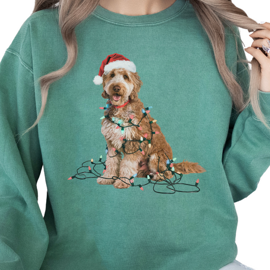 Goldendoodle Christmas Lights Sweatshirt