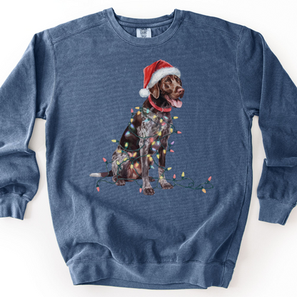 German Shorthaired Pointer Christmas Lights Sweatshirt