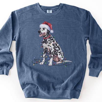 Dalmatian Christmas Lights Sweatshirt