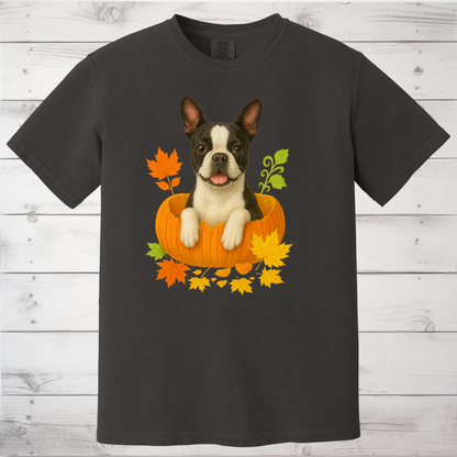 Boston Terrier Pumpkin Shirt