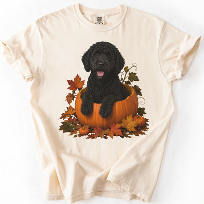 Black Portuguese Water Dog Pumpkin Shirt, Fall Comfort Colors Tee for Dog Lovers