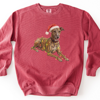 Brindle Greyhound Christmas Lights Sweatshirt