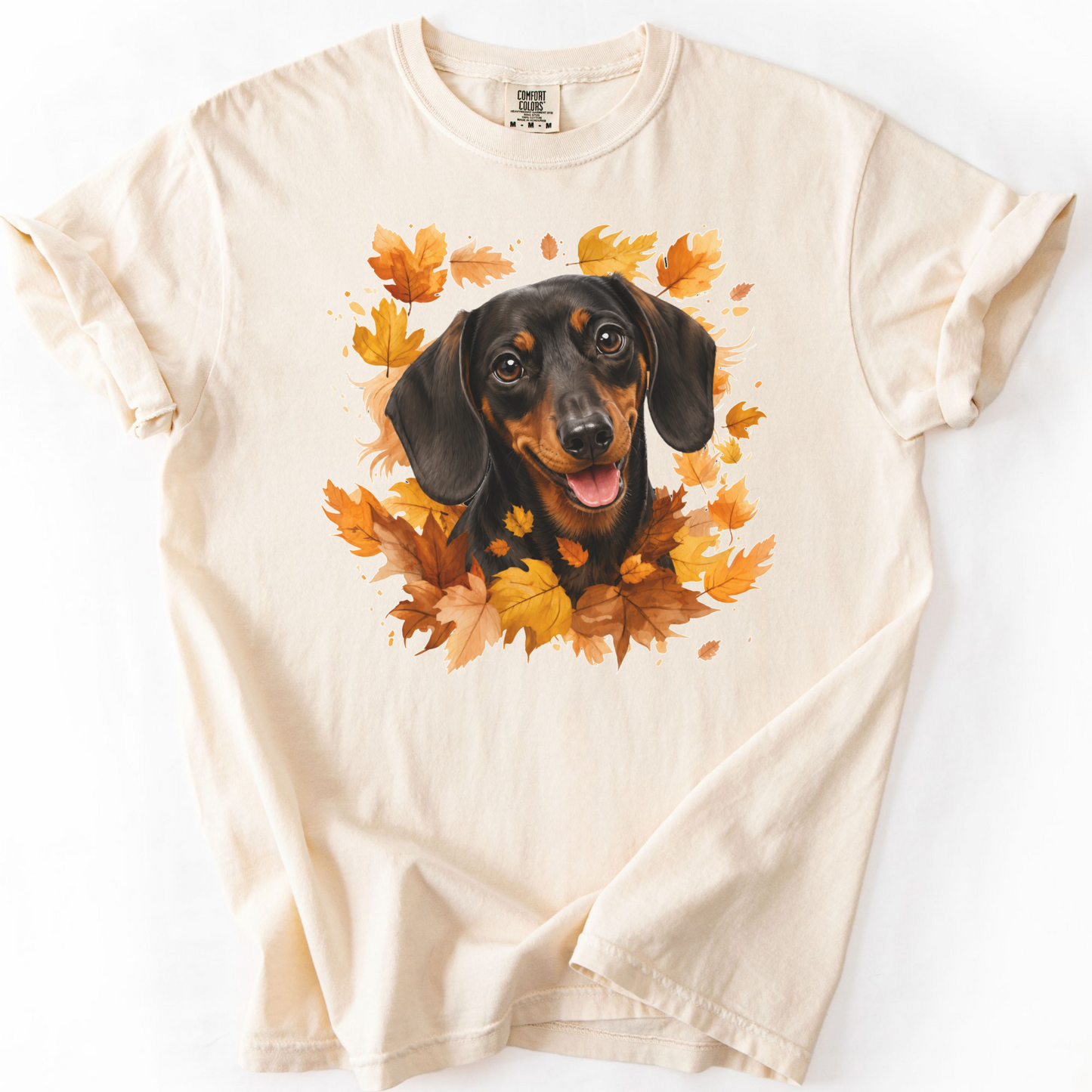 Black & Tan Dachshund Fall Shirt, Autumn Dog Mom Comfort Colors Tee