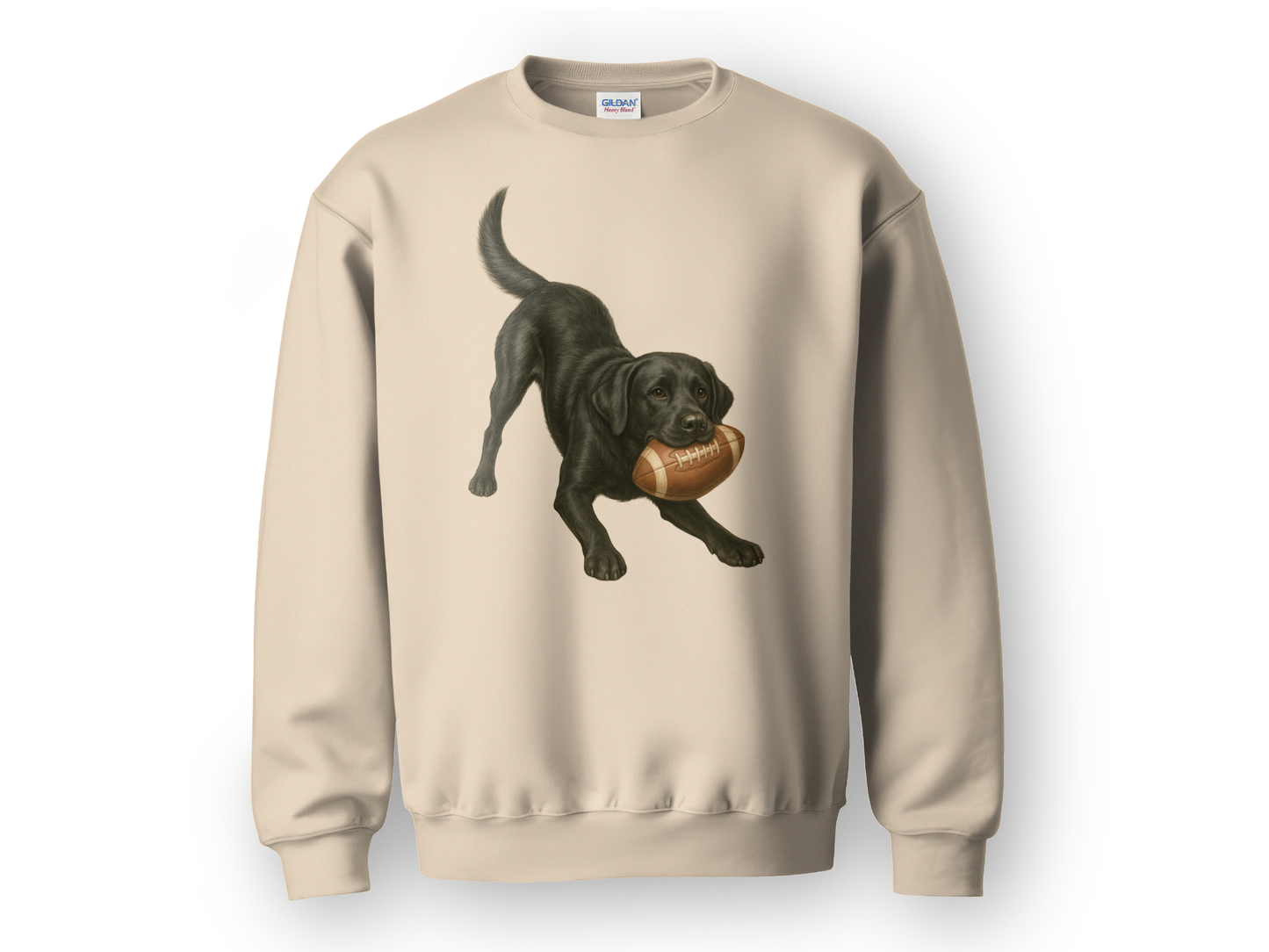 Black Lab Football Sweatshirt