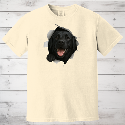 Peeking Labrador Sweatshirt - Use Code FALL15 at checkout for 15% Off.