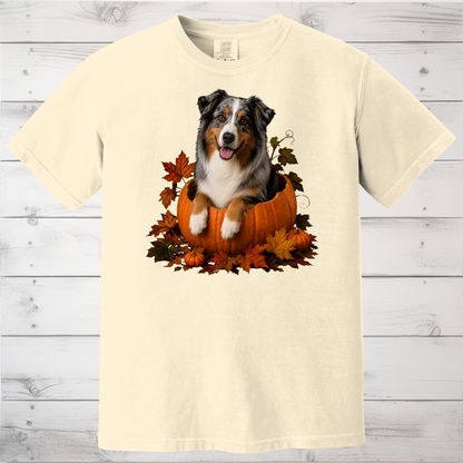 Australian Shepherd Pumpkin Shirt
