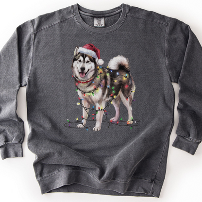 Alaskan Malamute Christmas Lights Dog Sweatshirt, Malamute Mom Gift