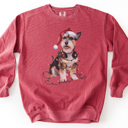 Christmas Norfolk Terrier Sweatshirt, Dog Tangled in Lights, Festive Dog Lover Apparel