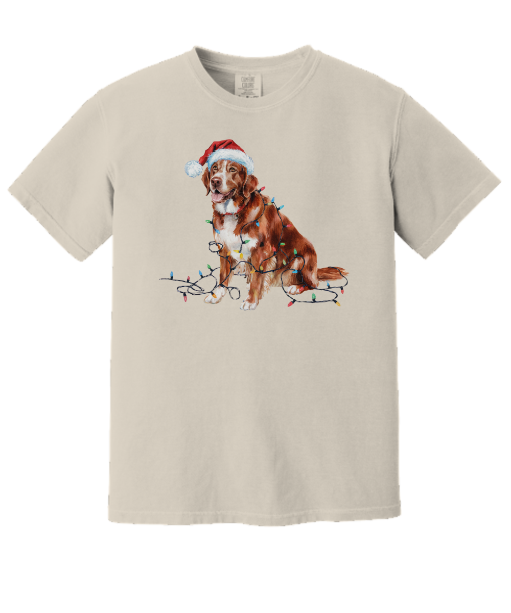 Christmas Nova Scotia Duck Tolling Retriever Shirt, Christmas Lights Dog Tee, Christmas Dog Tee, Retriever Mom Tshirt, Gift for Dog Lover