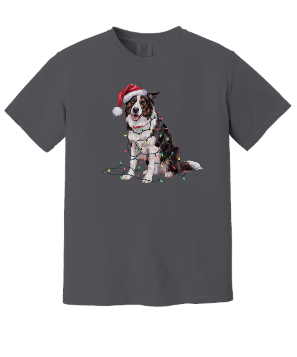 Christmas Border Collie Shirt, Christmas Lights Dog Tee, Christmas Dog Tee, Border Collie Mom Tshirt, Gift for Dog Lover, Border Collie