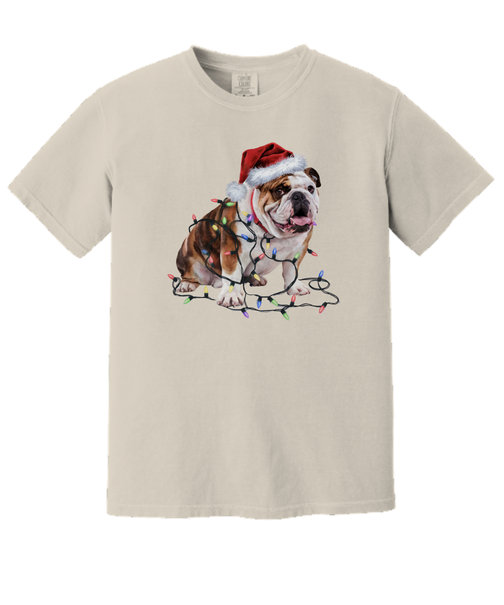 Christmas Bulldog Shirt, Christmas Lights Dog Tee, Christmas Dog Tee, Bulldog Mom Tshirt, Gift for Dog Lover, Bulldog