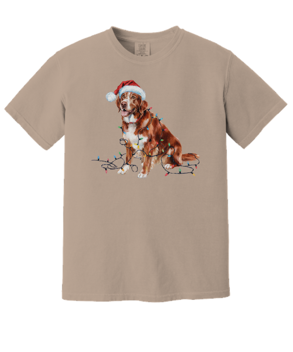 Christmas Nova Scotia Duck Tolling Retriever Shirt, Christmas Lights Dog Tee, Christmas Dog Tee, Retriever Mom Tshirt, Gift for Dog Lover