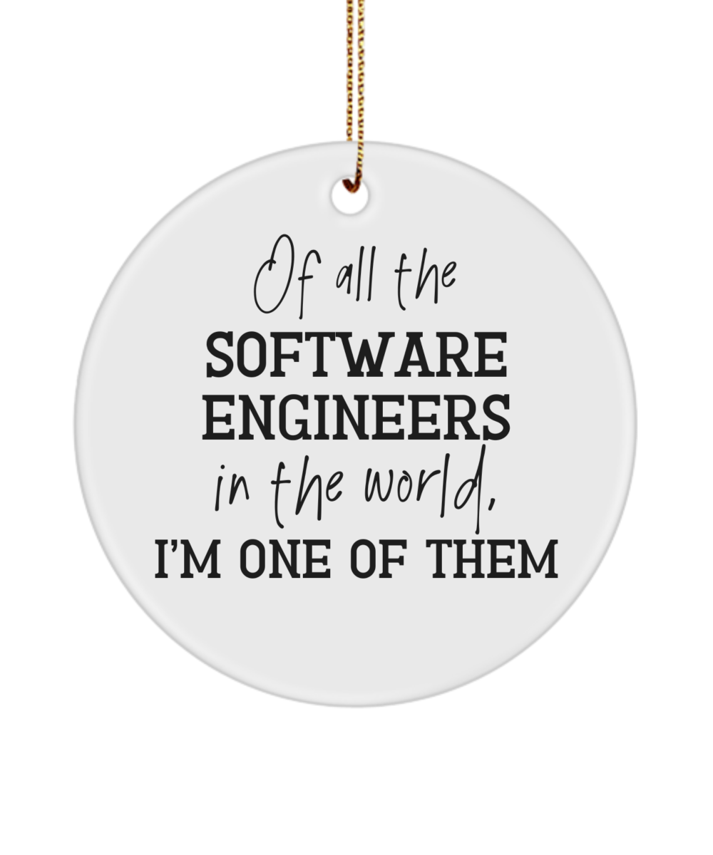 Software Engineer ornament, gift for software engineer, software engineering student gift, software engineer graduation gift