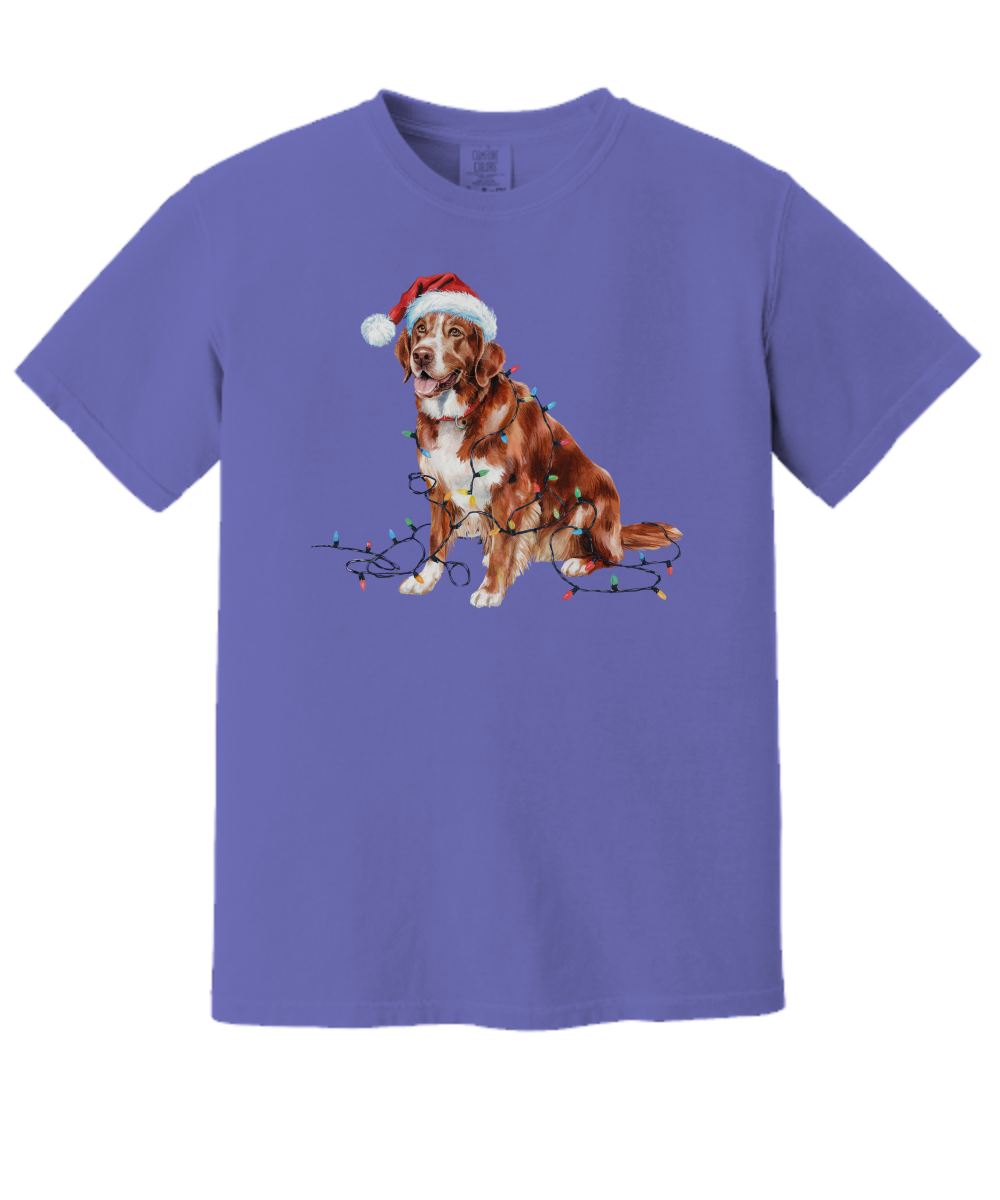 Christmas Nova Scotia Duck Tolling Retriever Shirt, Christmas Lights Dog Tee, Christmas Dog Tee, Retriever Mom Tshirt, Gift for Dog Lover