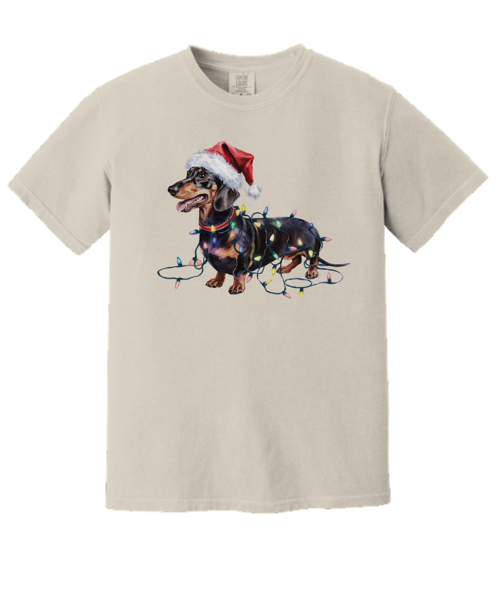 Christmas Dachshund Shirt, Christmas Lights Dog Tee, Christmas Dog Tee, Dachshund Mom Tshirt, Gift for Dog Lover, Dachshund