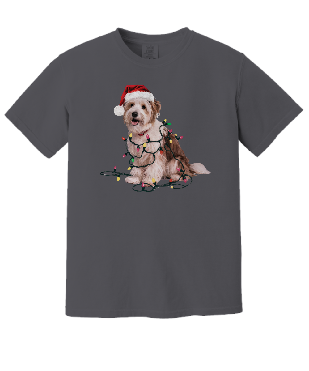 Christmas Coton De Tulear Shirt, Christmas Lights Dog Tee, Christmas Dog Tee, Coton De Tulear Mom Tshirt, Gift for Dog Lover