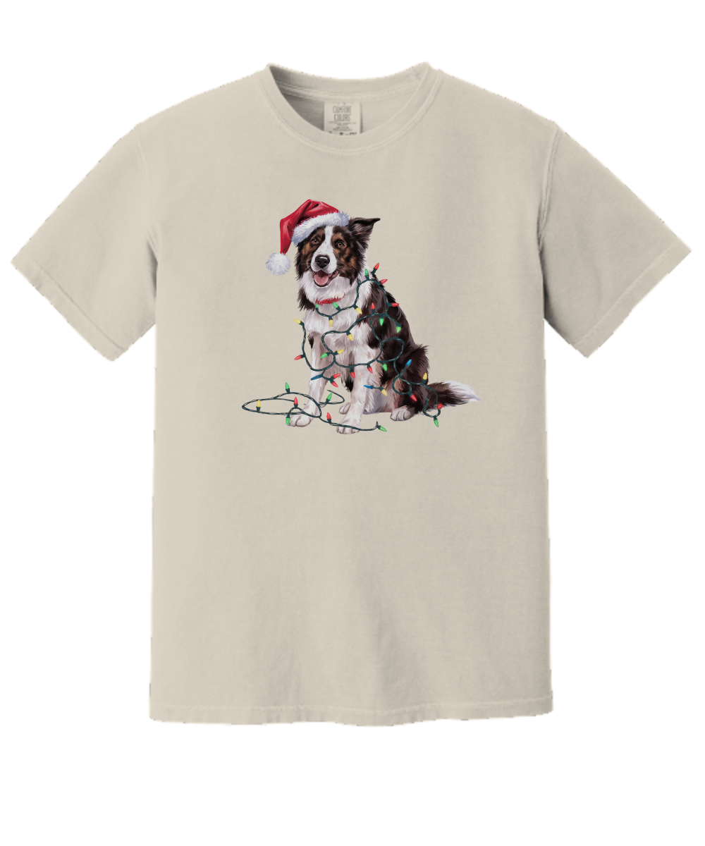 Christmas Border Collie Shirt, Christmas Lights Dog Tee, Christmas Dog Tee, Border Collie Mom Tshirt, Gift for Dog Lover, Border Collie