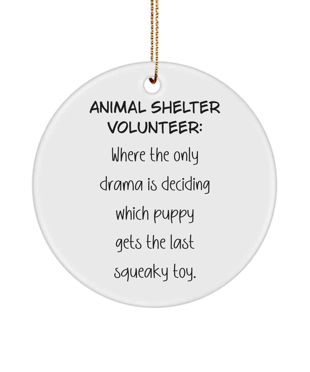 Animal Shelter Gift, Dog Rescue Gift, Animal Adoption Ornament, Shelter Worker Keepsake, Volunteer Gift, Animal Lover Gift, Cat Rescue Gift