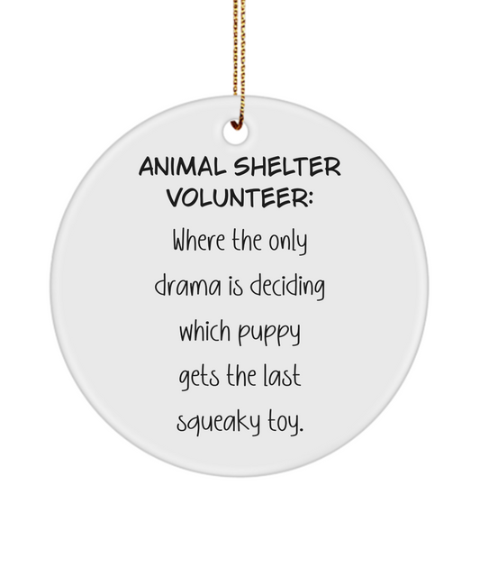 Animal Shelter Gift, Dog Rescue Gift, Animal Adoption Ornament, Shelter Worker Keepsake, Volunteer Gift, Animal Lover Gift, Cat Rescue Gift