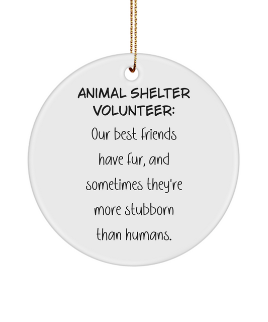 Animal Shelter Gift, Dog Rescue Gift, Cat Rescue Gift, Animal Adoption Gift, Shelter Worker Keepsake, Volunteer Ornament, Animal Lover Gift