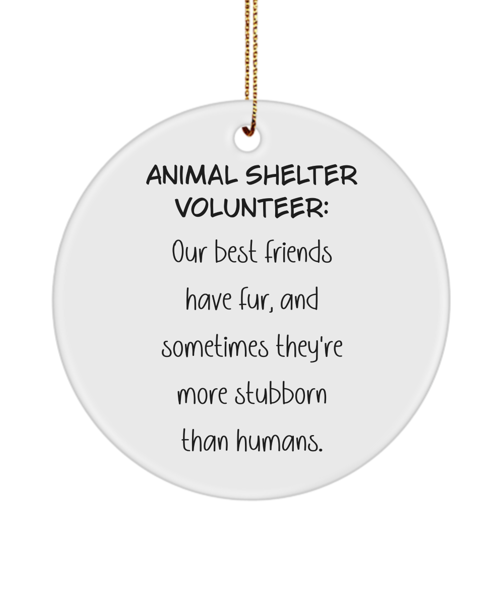 Animal Shelter Gift, Dog Rescue Gift, Cat Rescue Gift, Animal Adoption Gift, Shelter Worker Keepsake, Volunteer Ornament, Animal Lover Gift