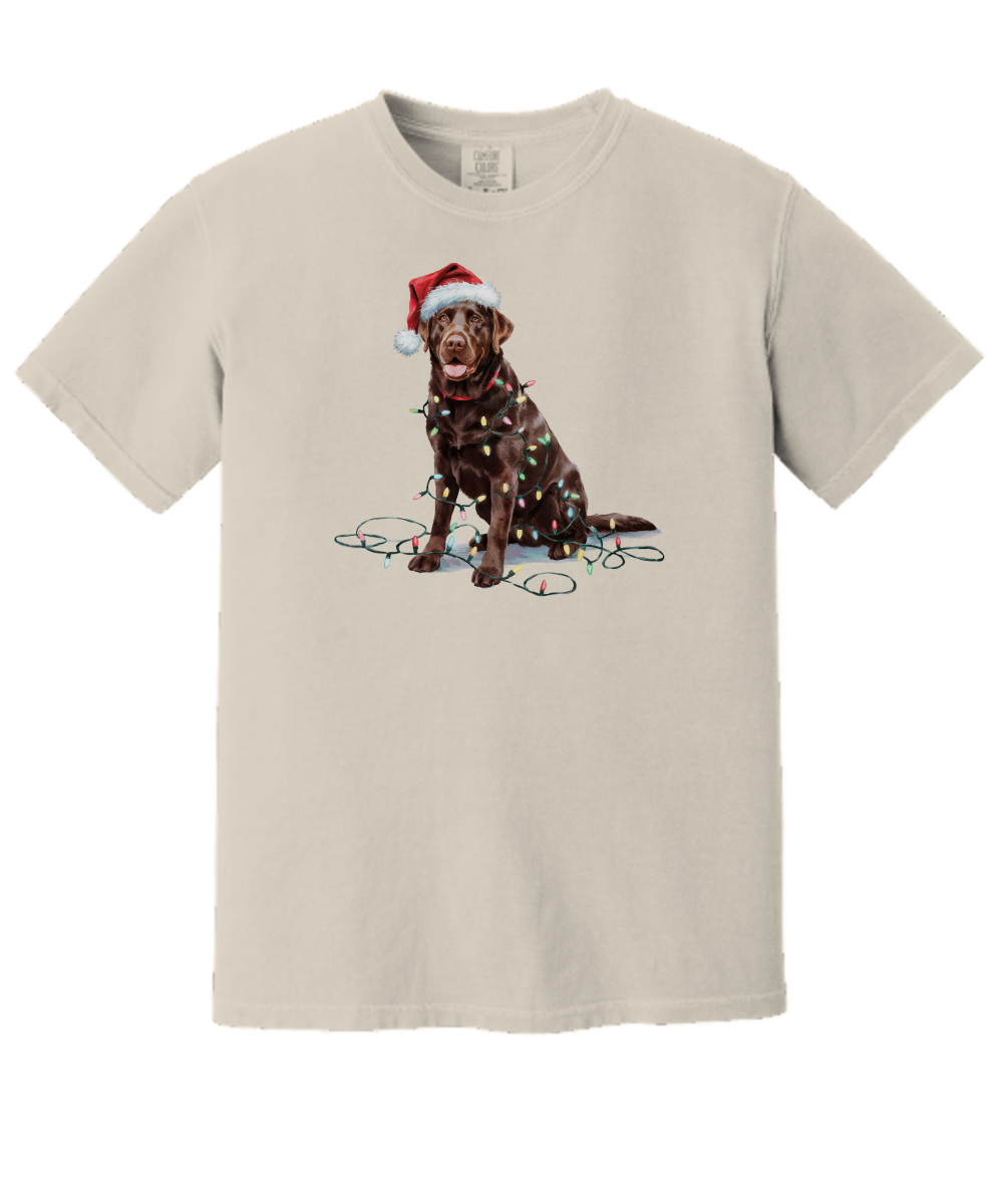 Christmas Chocolate Labrador Shirt, Christmas Lights Dog Tee, Christmas Dog, Lab Mom Tee, Gift for Dog Lover, Chocolate Lab