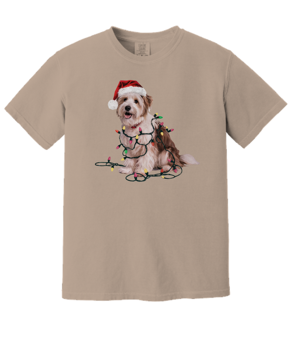 Christmas Coton De Tulear Shirt, Christmas Lights Dog Tee, Christmas Dog Tee, Coton De Tulear Mom Tshirt, Gift for Dog Lover