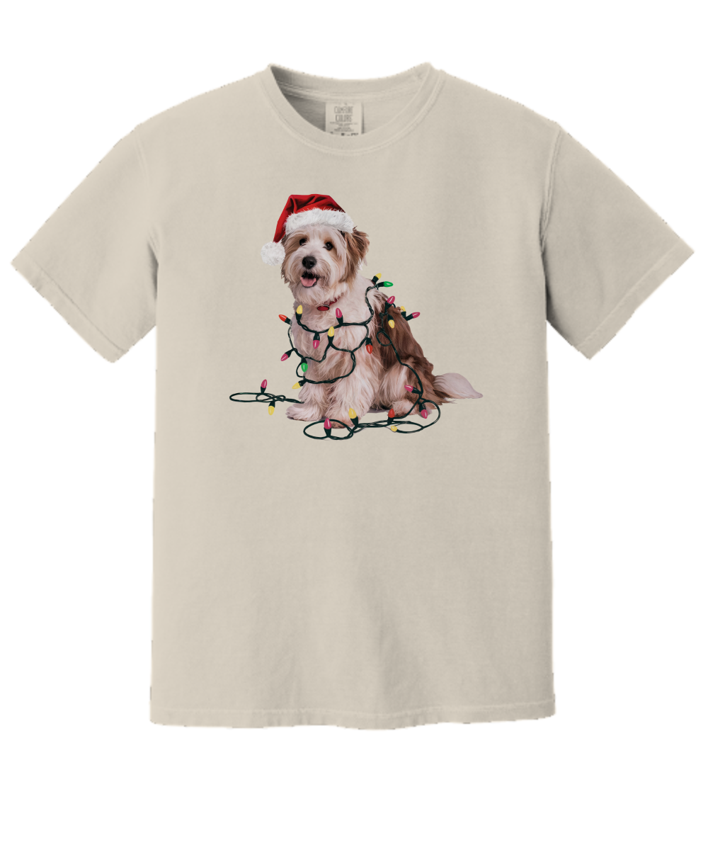 Christmas Coton De Tulear Shirt, Christmas Lights Dog Tee, Christmas Dog Tee, Coton De Tulear Mom Tshirt, Gift for Dog Lover