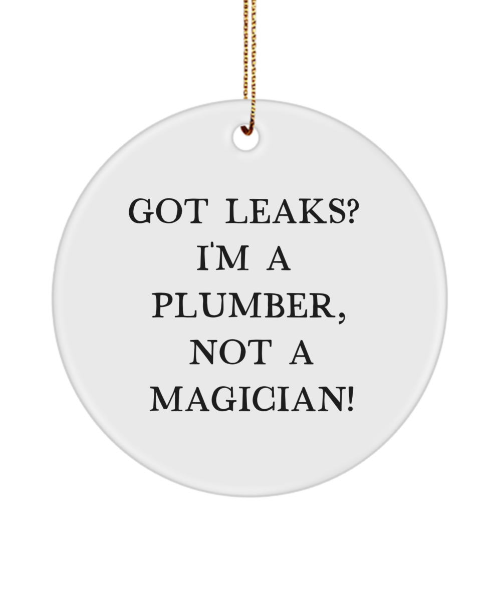 Plumber Gifts, Gifts for Plumbers, Plumbing Gift, Handyman Gift, Funny Plumber Ornament, Plumber Keepsake, Best Plumber Gift