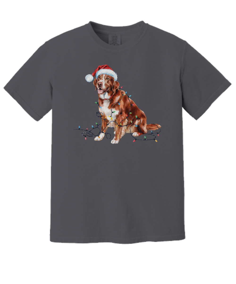 Christmas Nova Scotia Duck Tolling Retriever Shirt, Christmas Lights Dog Tee, Christmas Dog Tee, Retriever Mom Tshirt, Gift for Dog Lover