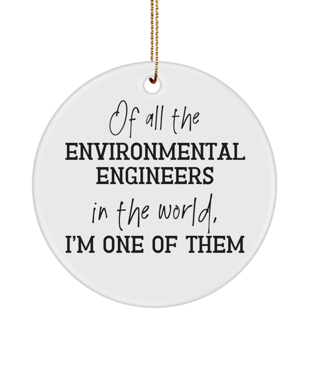 Environmental Engineer ornament, gift for environmental engineer, environmental engineering student gift, environmental engineer graduation gift