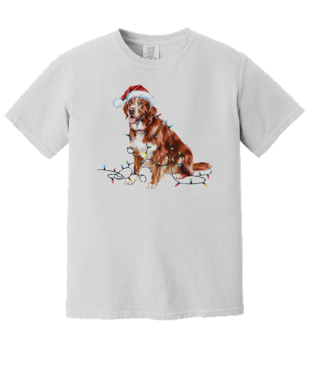 Christmas Nova Scotia Duck Tolling Retriever Shirt, Christmas Lights Dog Tee, Christmas Dog Tee, Retriever Mom Tshirt, Gift for Dog Lover