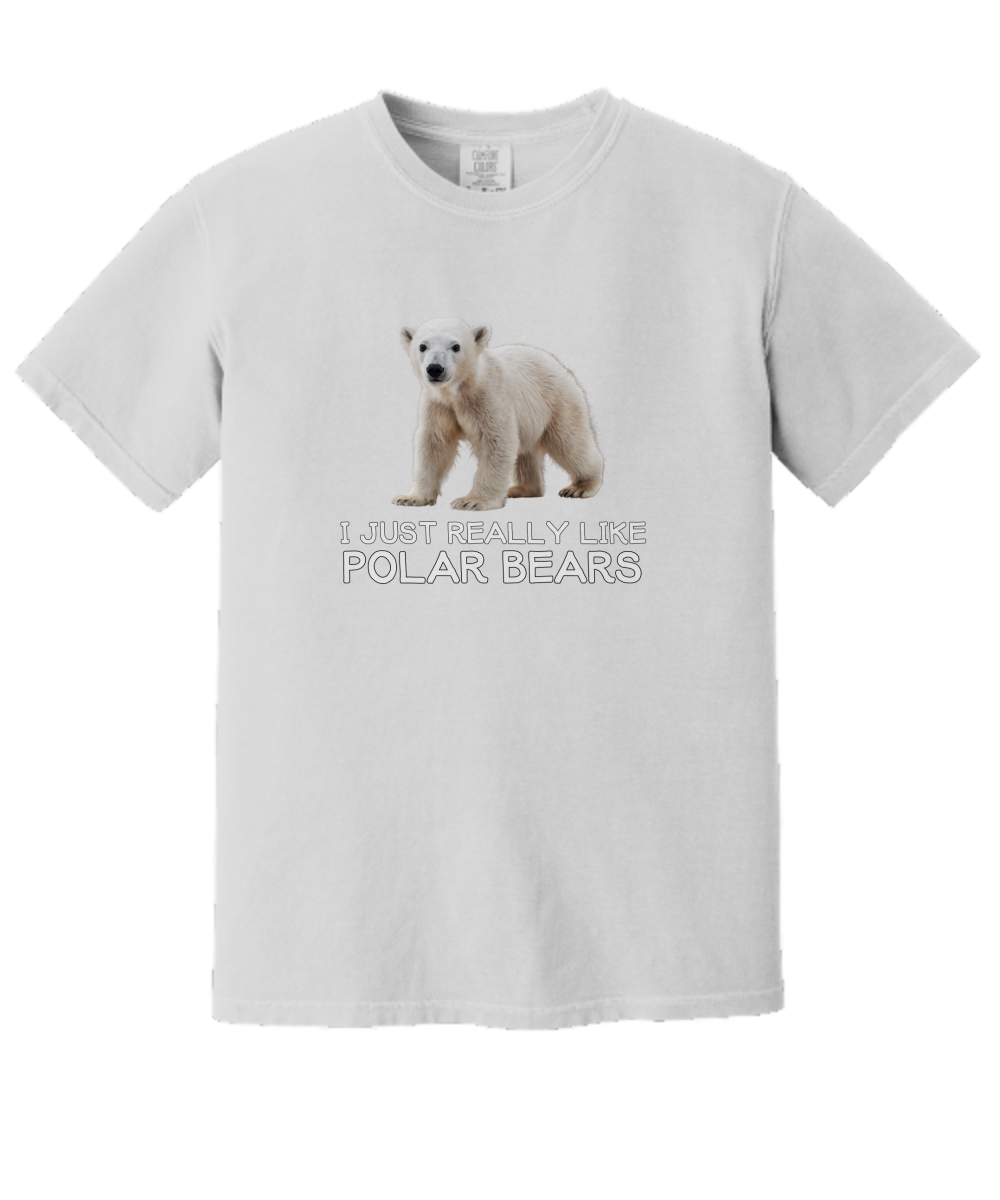 Polar Bear Shirt Women, Polar Bear Gifts, Polar Bear Tshirt Girls, Polar Bear T Shirt, I Like Polar Bears T-shirt