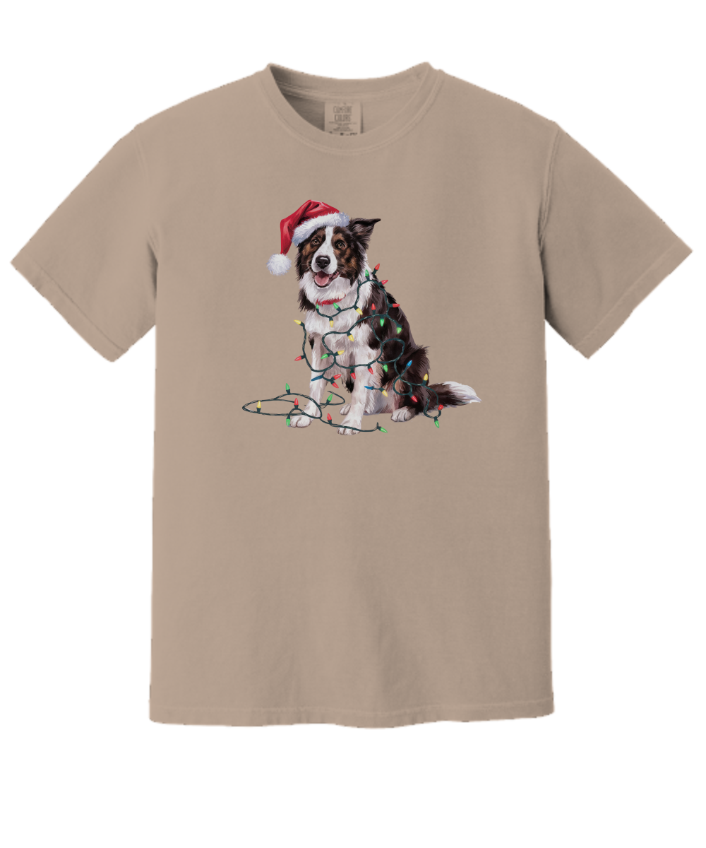 Christmas Border Collie Shirt, Christmas Lights Dog Tee, Christmas Dog Tee, Border Collie Mom Tshirt, Gift for Dog Lover, Border Collie