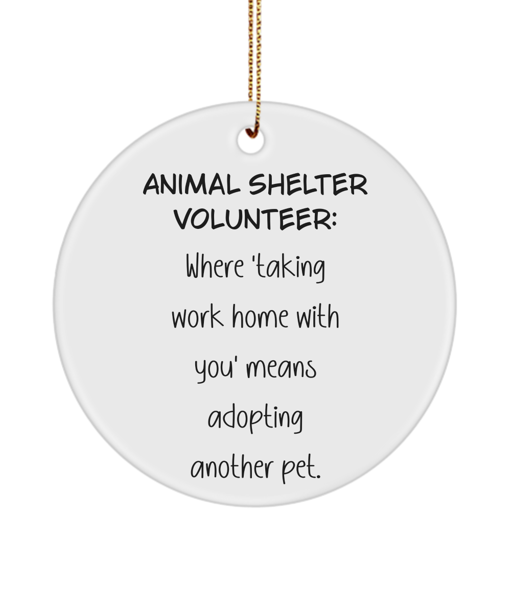 Animal Shelter Gift, Shelter Worker Keepsake, Volunteer Ornament, Animal Lover Gift, Dog Rescue Gift, Cat Rescue Gift, Animal Adoption Gift