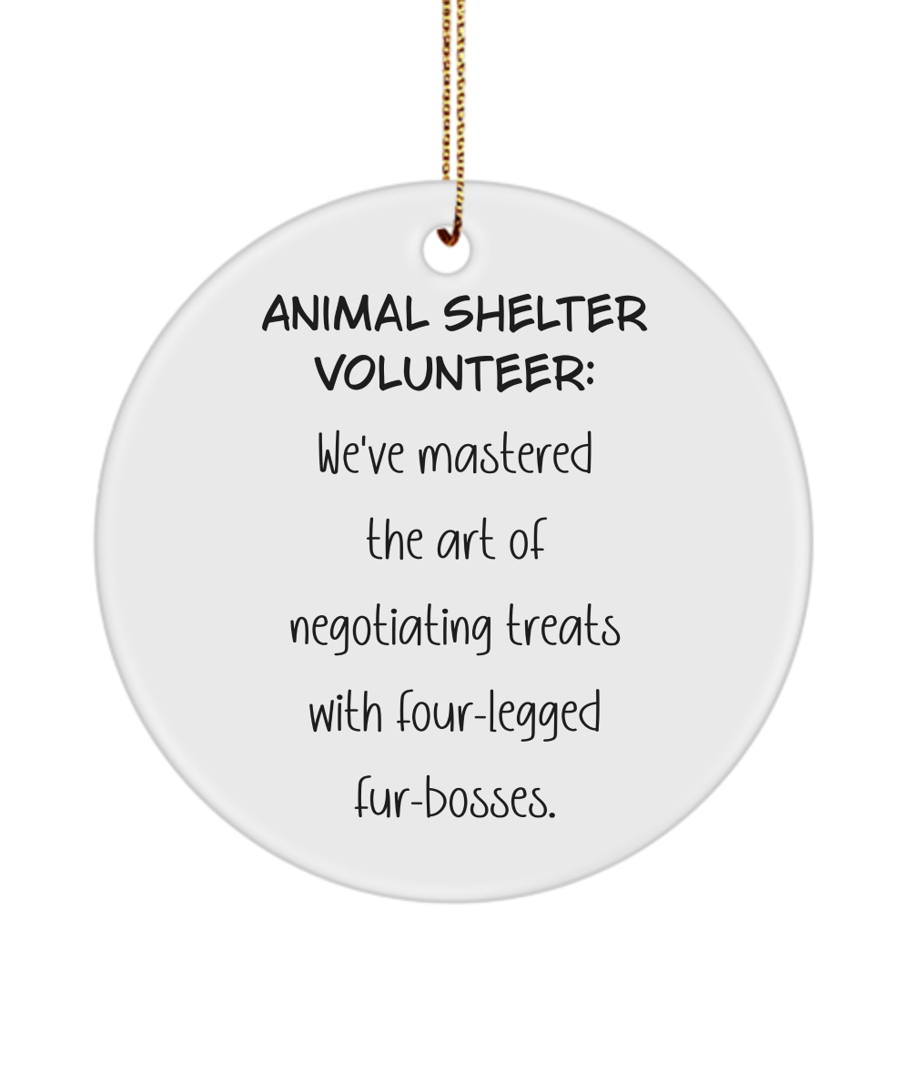 Animal Shelter Gift, Animal Adoption Gift, Shelter Worker Keepsake, Volunteer Ornament, Animal Lover Gift, Dog Rescue Gift, Cat Rescue Gift