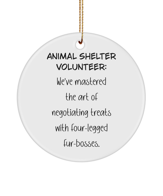 Animal Shelter Gift, Animal Adoption Gift, Shelter Worker Keepsake, Volunteer Ornament, Animal Lover Gift, Dog Rescue Gift, Cat Rescue Gift