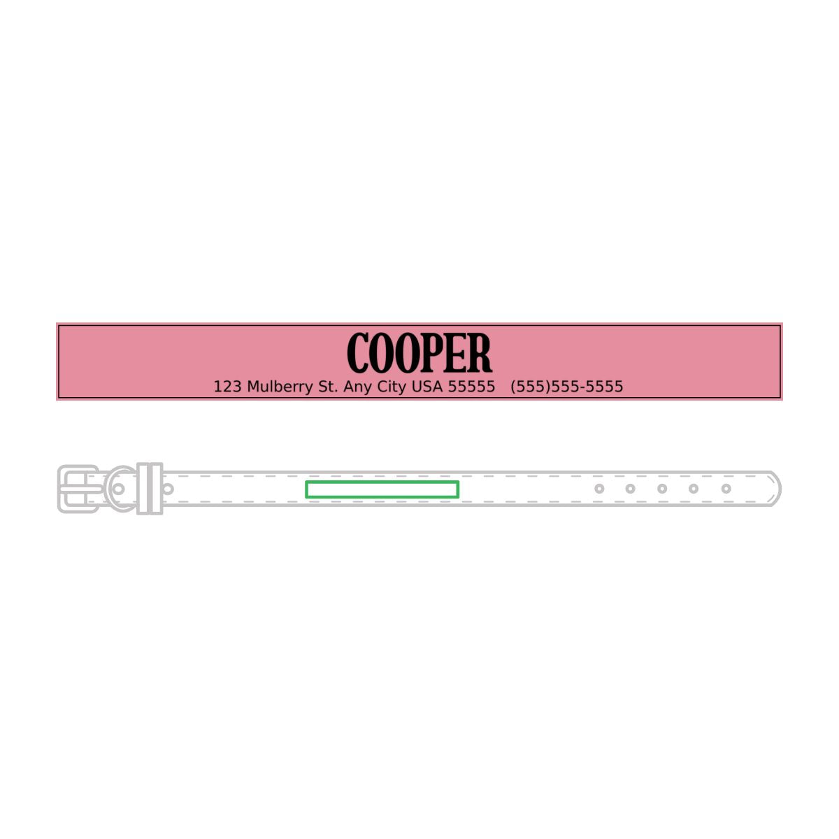 Leather Pet Collar (Engraving)