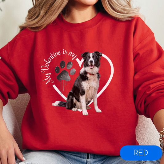 Valentine Border Collie Sweatshirt, Border Collie Mom, Valentine Heart Dog Sweatshirt, Valentine Dog, Gift for Dog Lover, Border Collie