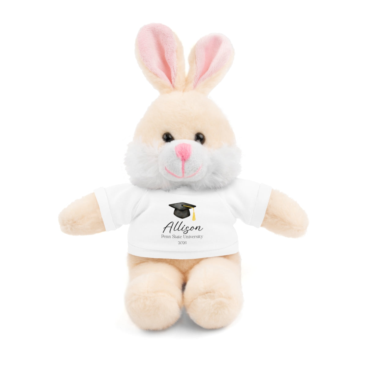 Personalized Graduation Plush Animal – Custom Grad Gift with Name, School & Year