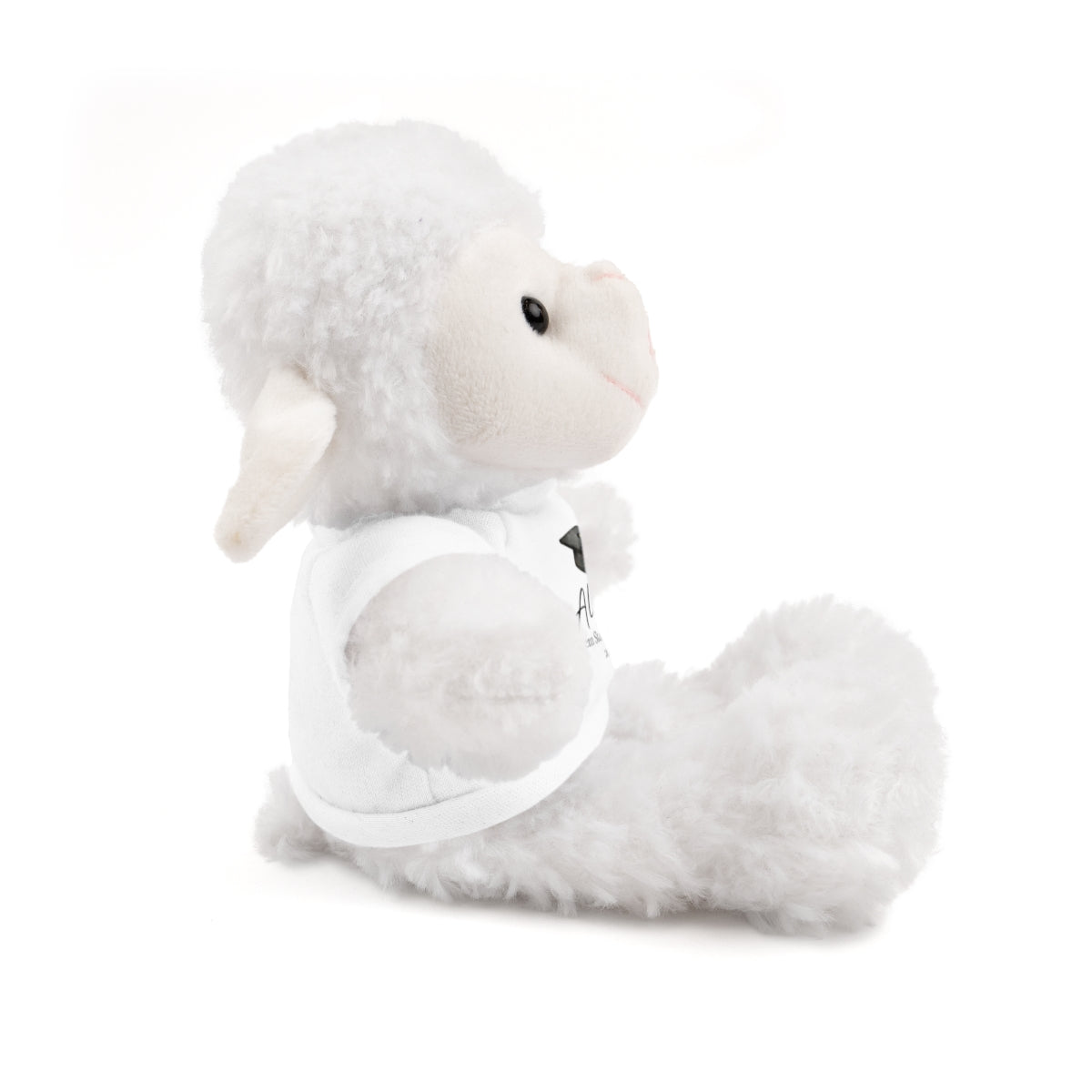 Personalized Graduation Plush Animal – Custom Grad Gift with Name, School & Year
