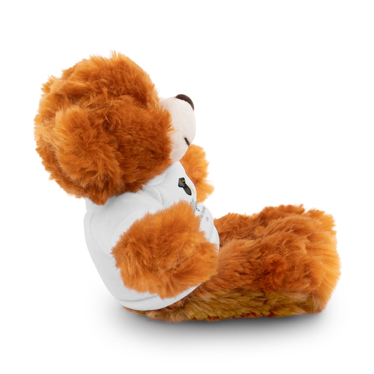 Personalized Graduation Plush Animal – Custom Grad Gift with Name, School & Year