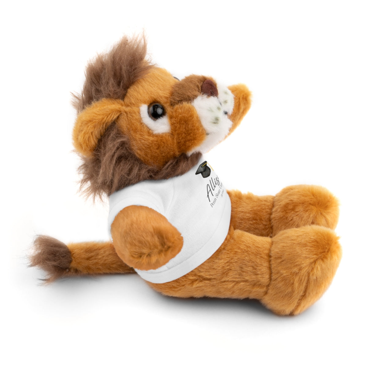 Personalized Graduation Plush Animal – Custom Grad Gift with Name, School & Year