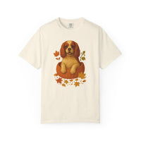 Load image into Gallery viewer, Cavalier King Charles in Pumpkin Fall Shirt, Cute Autumn Dog Tee for Cavalier Moms
