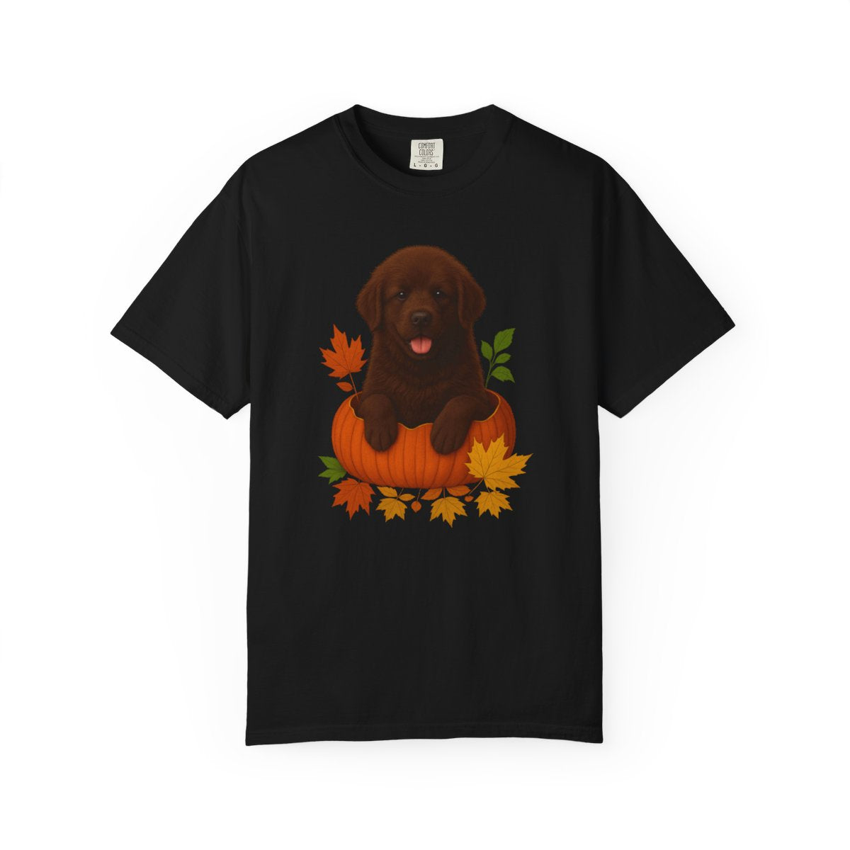 Brown Newfoundland Pumpkin Shirt, Fall Dog Lover Tee on Comfort Colors 1717