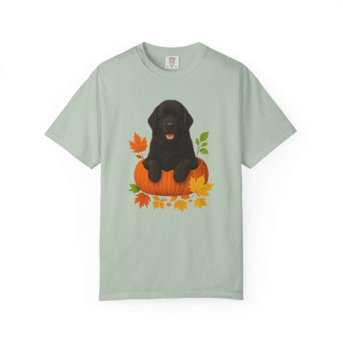 Black Newfoundland Pumpkin Shirt, Fall Dog Lover Tee on Comfort Colors 1717
