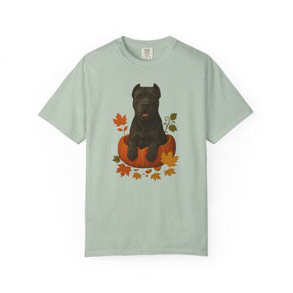Cane Corso Pumpkin Fall T-Shirt, Cute Autumn Dog Lover Tee & Thanksgiving Gift