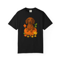 Load image into Gallery viewer, Dachshund in Pumpkin Fall Shirt, Cute Autumn Wiener Dog Tee for Doxie Lovers
