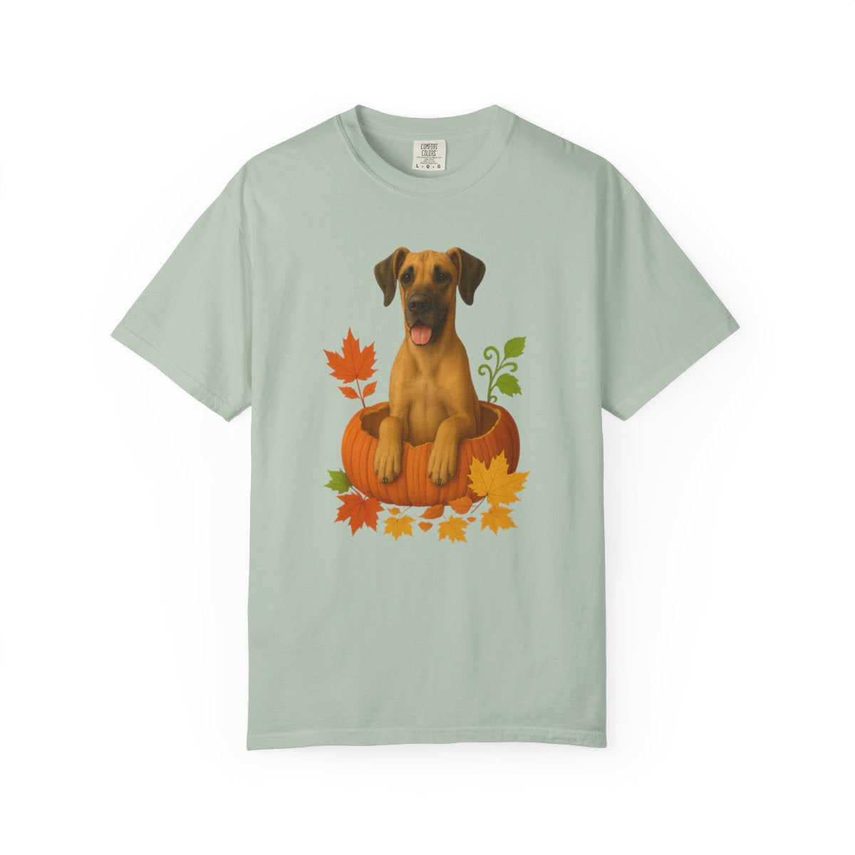 Great Dane Pumpkin Shirt, Fall Dog Lover Tee on Comfort Colors 1717